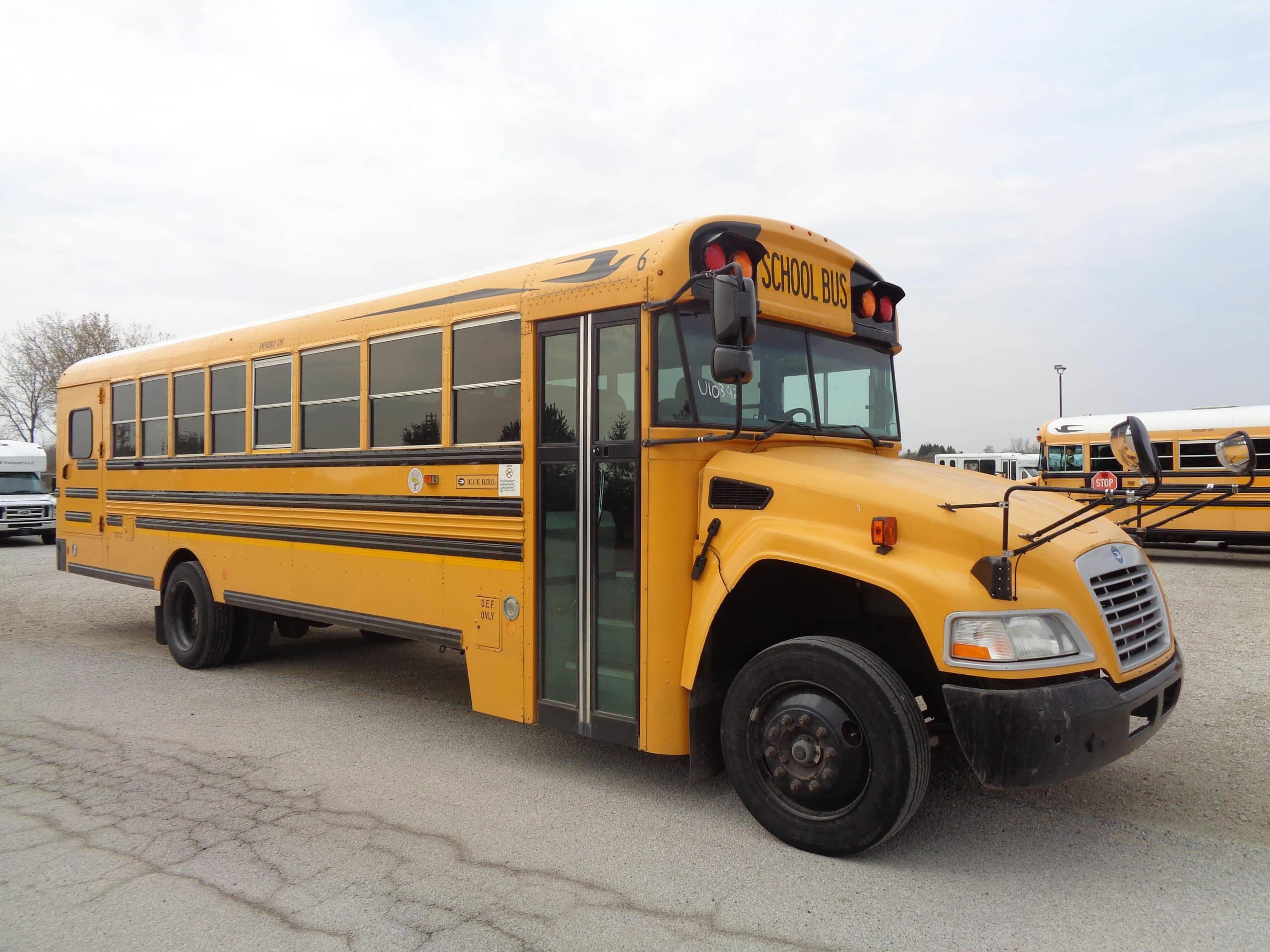 Bluebird BBCV3303 School Bus-image